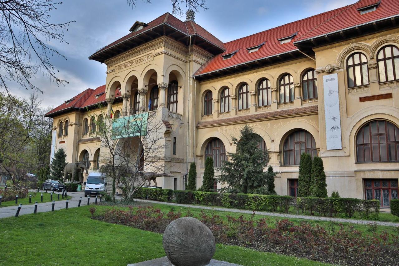 Oak Apartment - Piata Victoriei Bukarest Exteriör bild